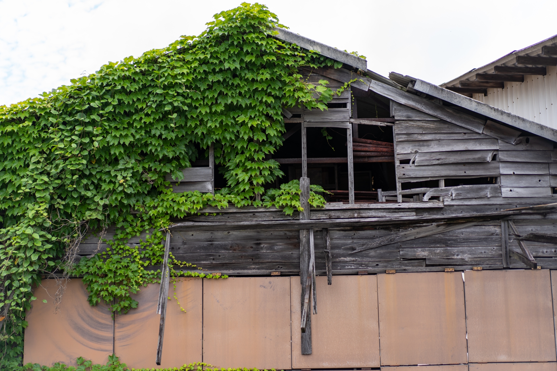 【法改正対応】空き家を放置すると増税に？江戸川・葛飾・足立・荒川で実家を損せず売却する方法